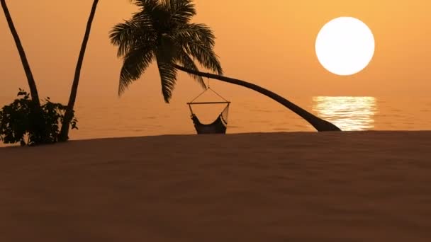 Viaje Los Trópicos Con Palmeras Vacaciones Atardecer — Vídeos de Stock