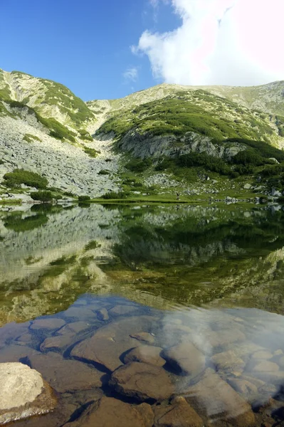 Yüksek dağ manzarası — Stok fotoğraf