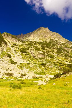 yüksek dağ manzarası