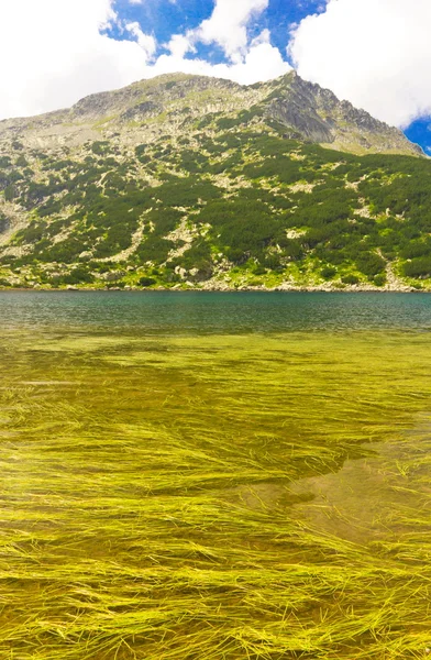 Mountain landscape with lake — Stock Photo, Image