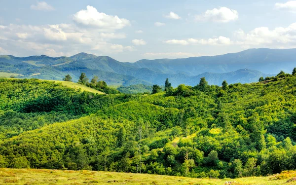 Berglandschap — Stockfoto