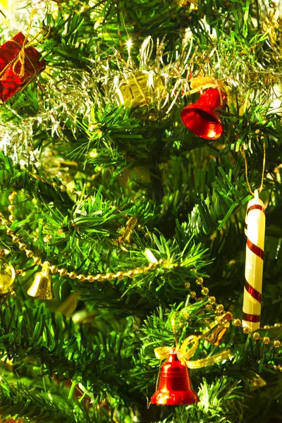 クリスマスツリーが飾られました — ストック写真