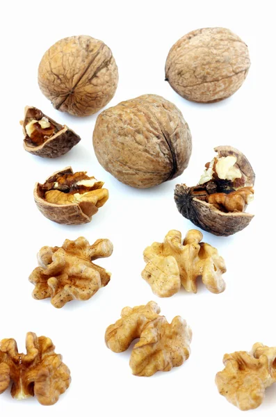 Nueces aisladas —  Fotos de Stock