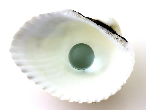 Shell with pearl isolated — Stock Photo, Image