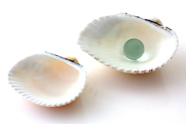 Shells with pearl isolated — Stock Photo, Image