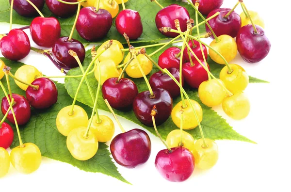 Cherries isolated on white — Stock Photo, Image