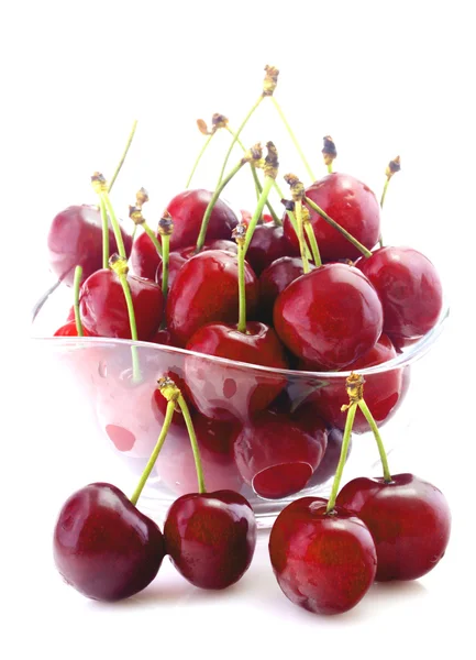 Cherries in bowl isolated — Stock Photo, Image