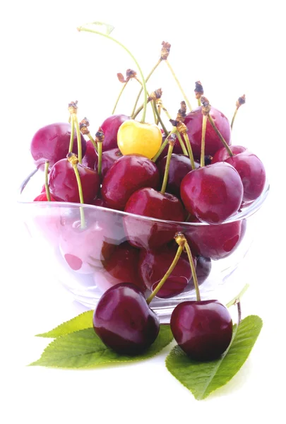 Cherries in bowl isolated — Stock Photo, Image