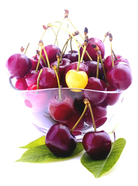 Cherries in bowl isolated — Stock Photo, Image