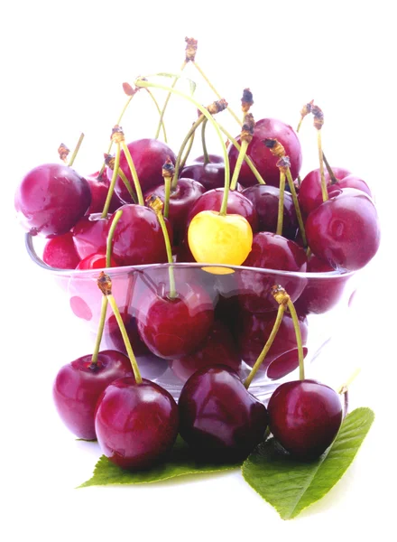 Cherries in bowl isolated — Stock Photo, Image