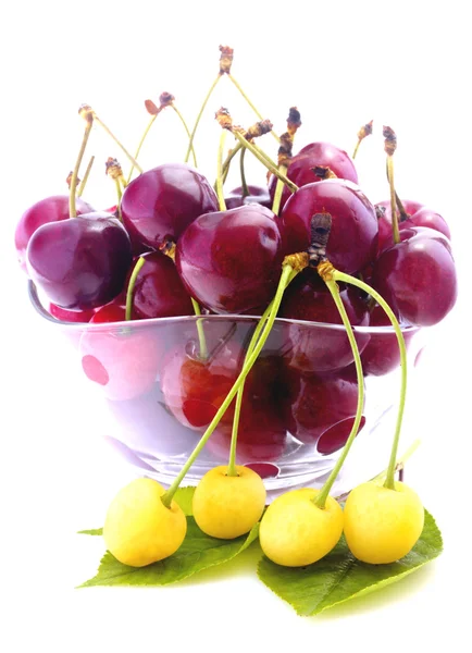 Cherries in bowl isolated — Stock Photo, Image