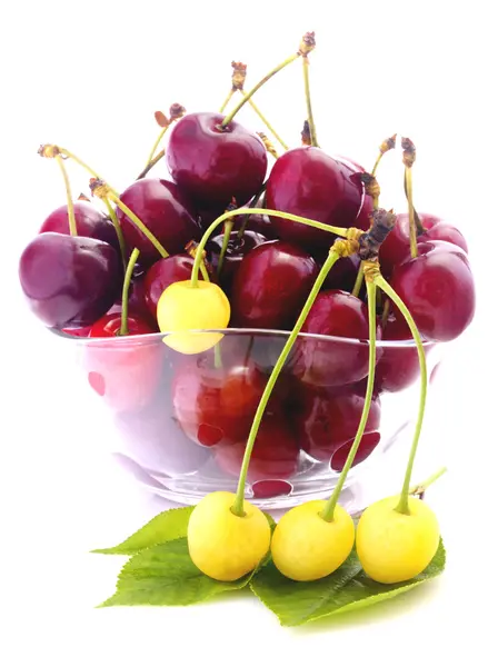 Cherries in bowl isolated — Stock Photo, Image