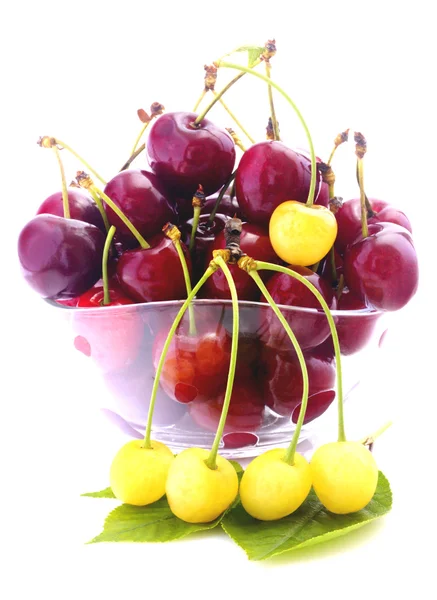 Cherries in bowl isolated — Stock Photo, Image