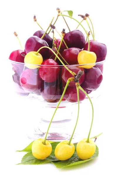 Cherries in bowl isolated — Stock Photo, Image