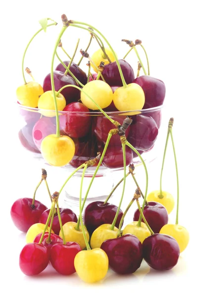 Cherries in bowl isolated — Stock Photo, Image