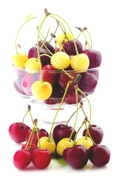 Cherries in bowl isolated — Stock Photo, Image