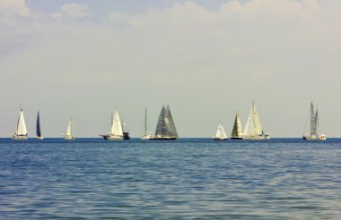 Regatta