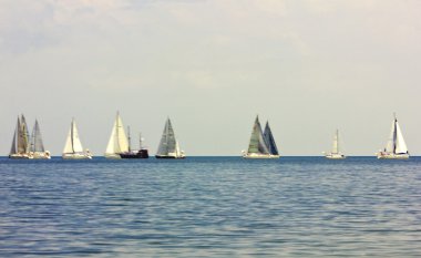 Regatta