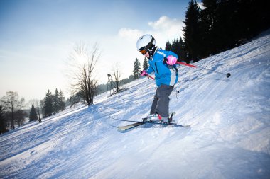 yokuş aşağı Kayak kız ve atlar