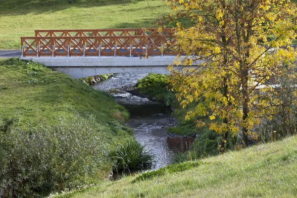 Uma nova passarela sobre o riacho no parque — Fotografia de Stock