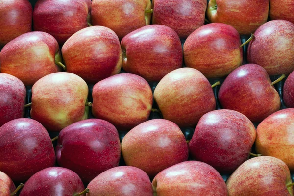 Narażonych, czerwony, świeże jabłka jako tło — Zdjęcie stockowe
