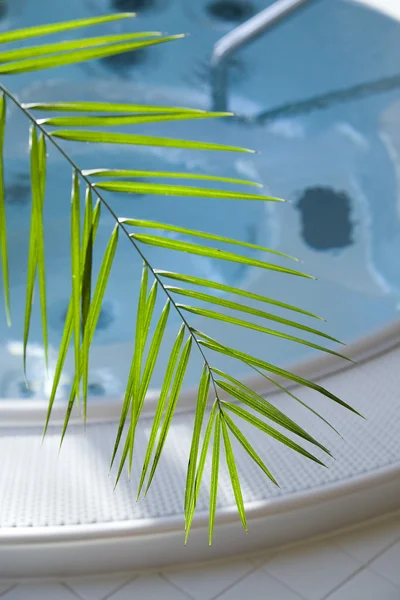 Luxury massage bath with palm leaf — Stock Photo, Image