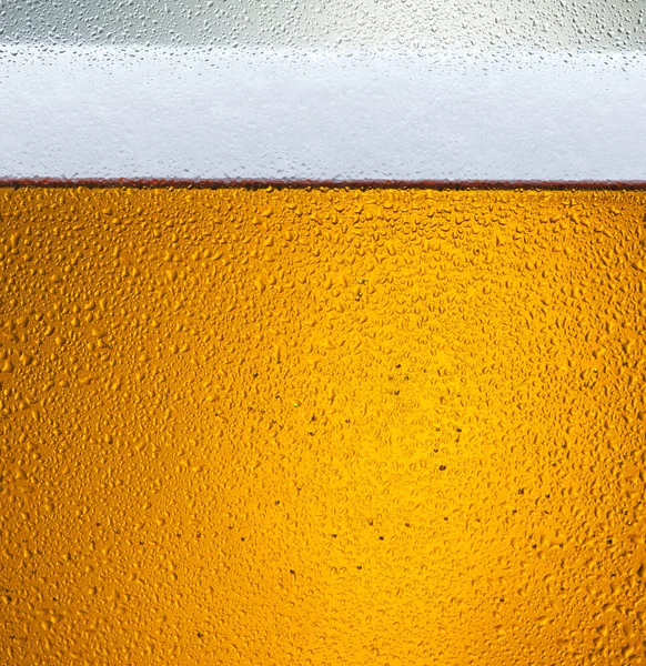 Cerveza — Foto de Stock
