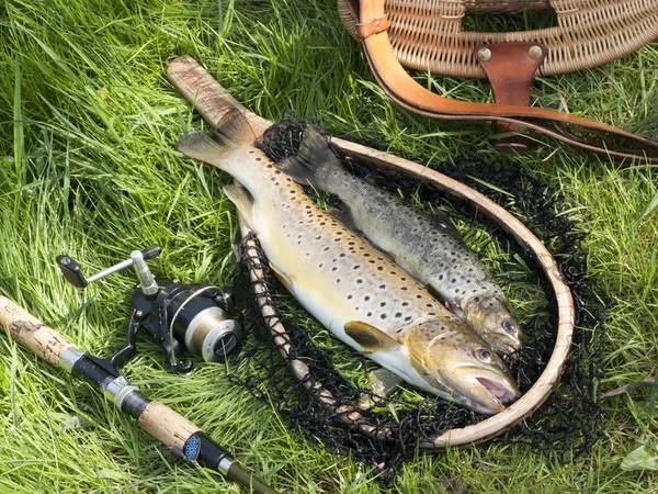 Forellenfischen Stillleben — Stockfoto