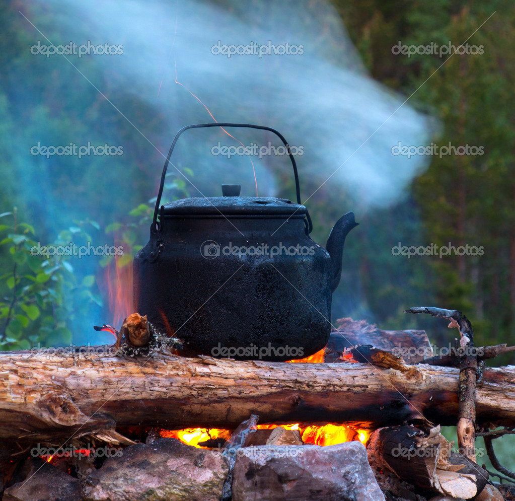 https://st.depositphotos.com/2200014/2361/i/950/depositphotos_23615483-stock-photo-kettle-of-boiling-water-on.jpg