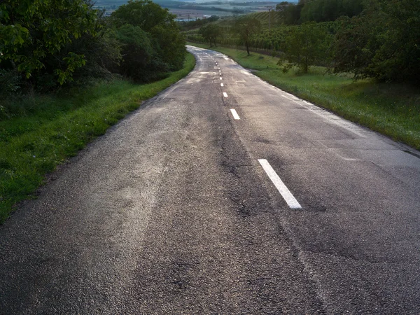Beyaz çizgili gri asfalt yapılmış yol — Stok fotoğraf
