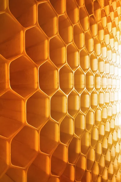 mükemmel zemin olarak petek