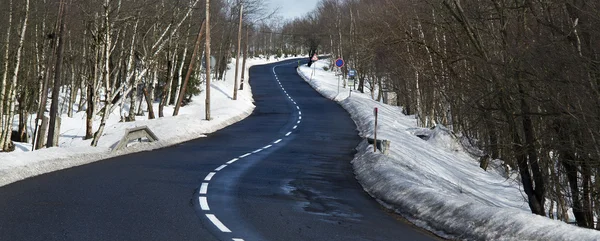 Camino sinuoso en invierno con abedules —  Fotos de Stock