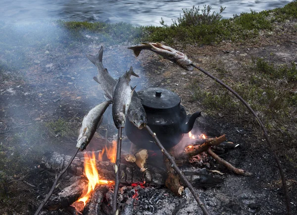 Pausa de pesca, hora do chá com peixe assado na natureza em chamas — Fotografia de Stock