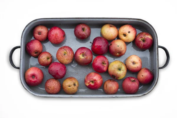 Gebackene rote Äpfel vor dem Einstellen — Stockfoto