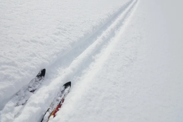 Tip of the skis in the ski trail — Stock Photo, Image