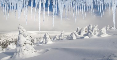 kış manzara buz sarkıtları arasında şaşırtıcı göz