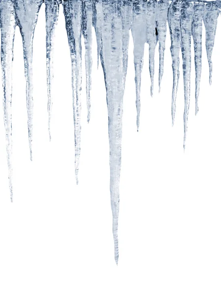 Many natural icicles on a white background — Stock Photo, Image