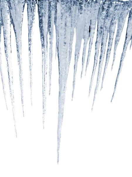 Jégcsapok fehér háttér — Stock Fotó