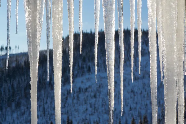 Icicles naturais no fundo da montanha — Fotografia de Stock