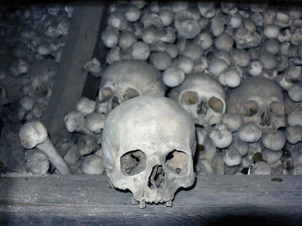 Pile of skulls with one in the foreground — Stock Photo, Image