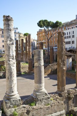 Largo di torre argentina olan Roma Meydanı
