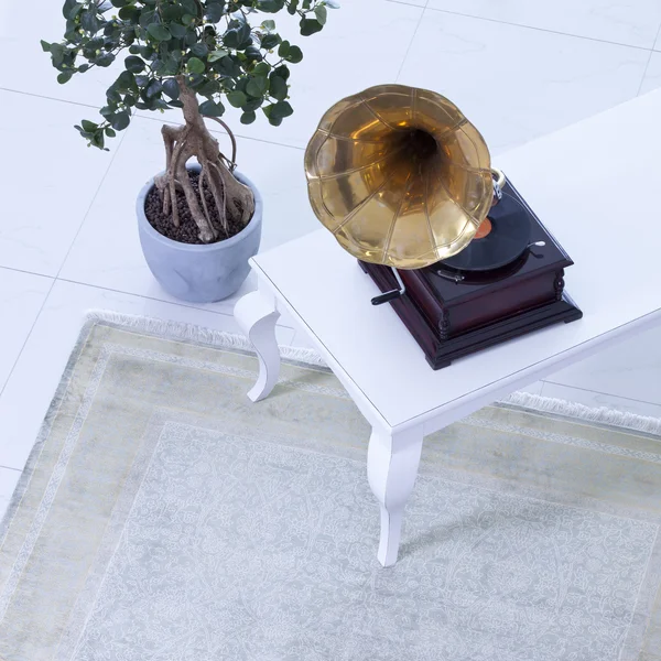 Interior with turntable and flower — Stock Photo, Image