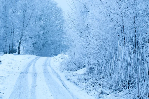Winter road with snow — Stock Photo, Image