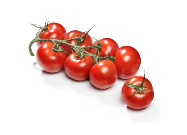 Red cherry tomatoes on a twig — Stock Photo, Image