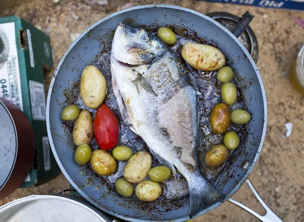 Peixe — Fotografia de Stock