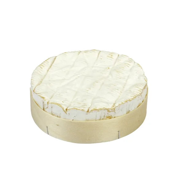 Fromage camembert. — Photo