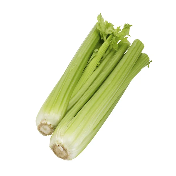 Fresh green celery — Stock Photo, Image