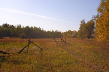 Old wrecked wooden fence on the meadow. Rural landscape in the backlight.
