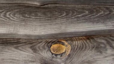 Old fence made of pine boards. Wooden boards. Old pine boards