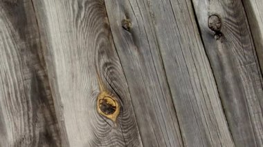 Old fence made of pine boards. Wooden boards. Old pine boards